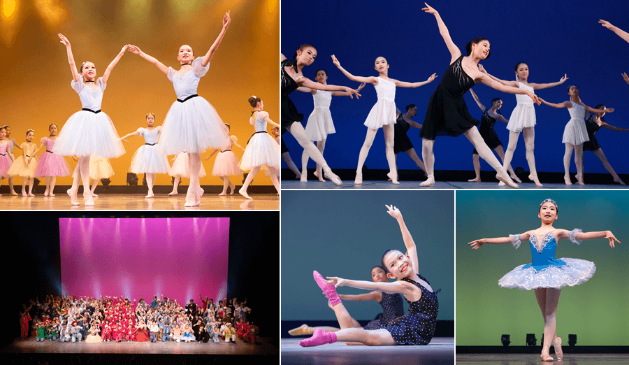 D-Collection / ディーコレクションイメージ