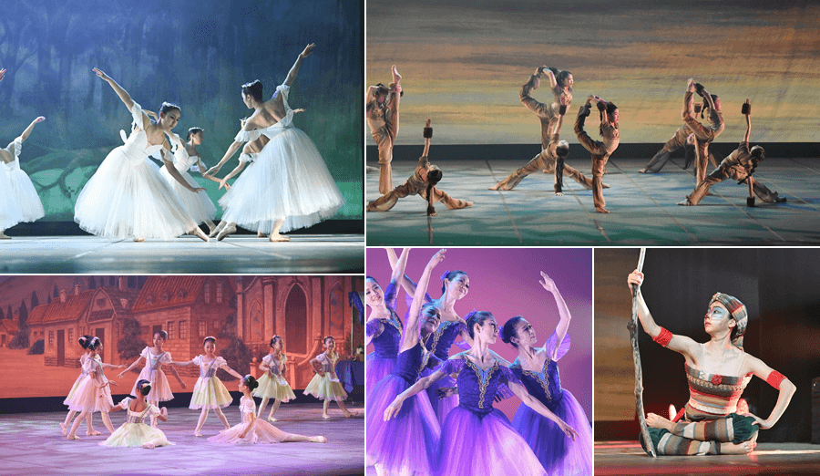 NPO法人DAS合同発表会イメージ