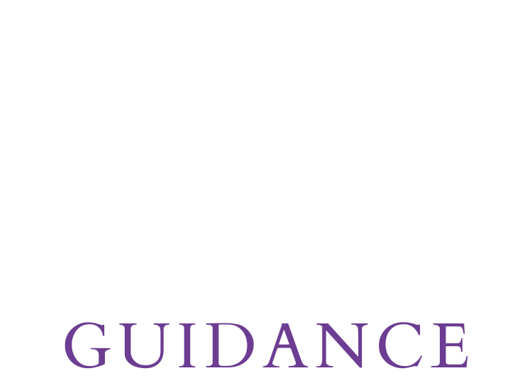 GUIDANCE