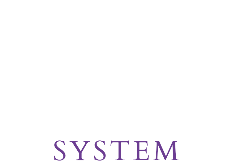 SYSTEM